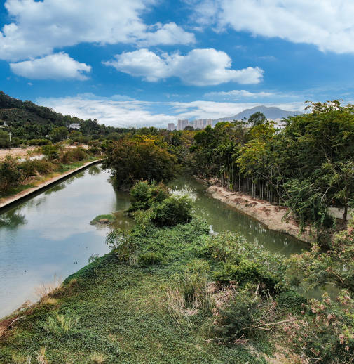 項(xiàng)目展示圖