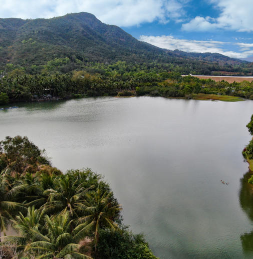 項(xiàng)目展示圖